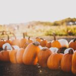 Photo Pumpkin patch