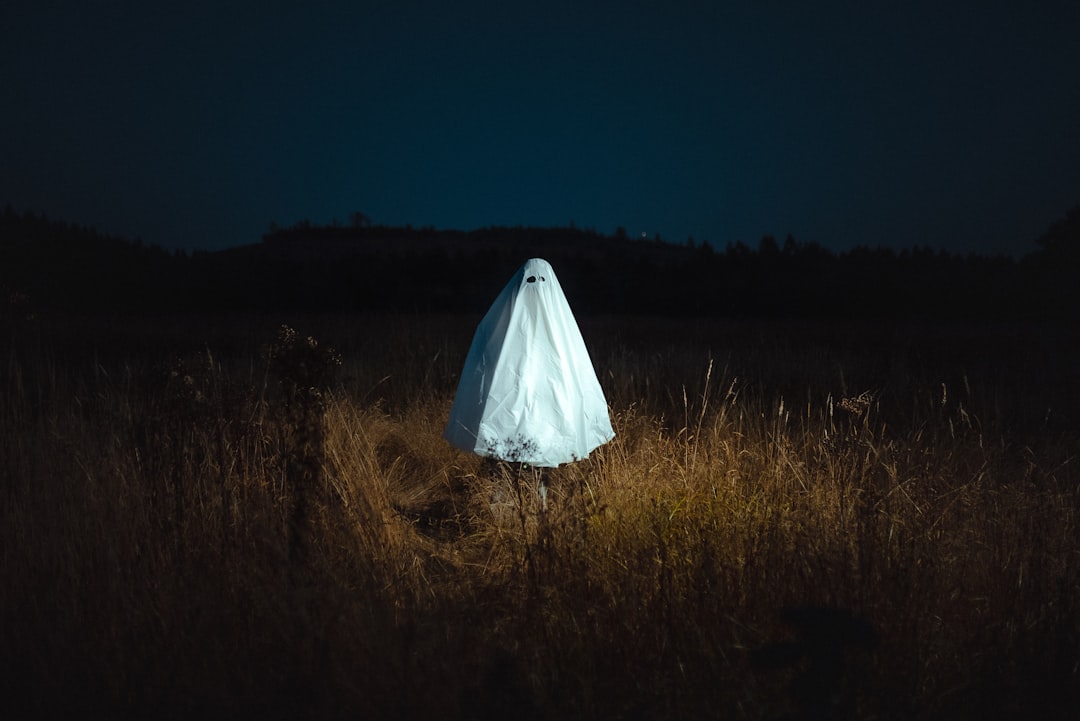 Photo Pumpkin costume