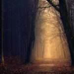 Photo Haunted house