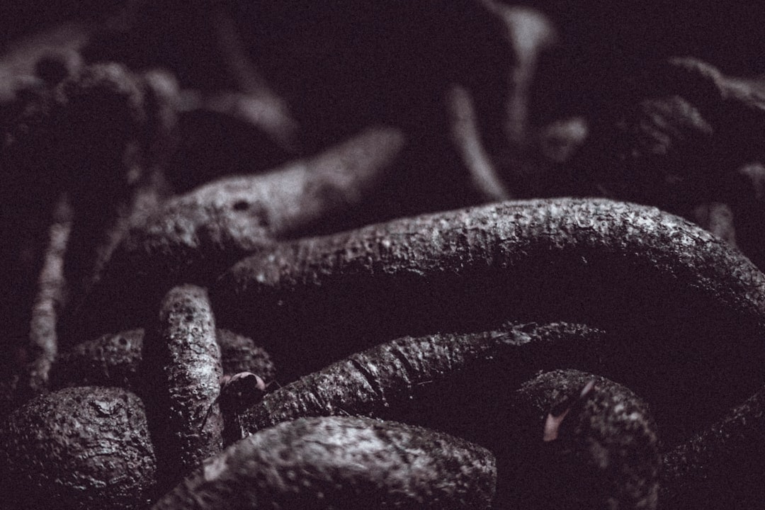Photo Spooky recipes