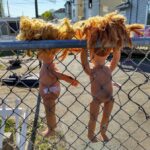 Photo Costume contest