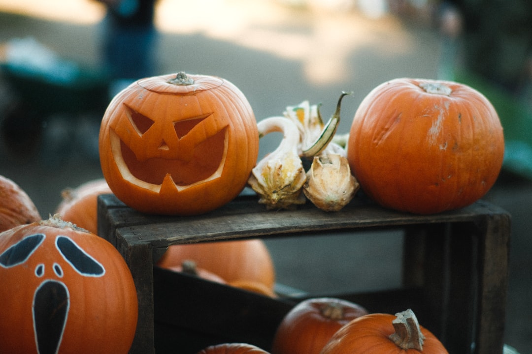 Photo Spooky decorations